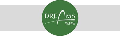 Dreams Valdivia