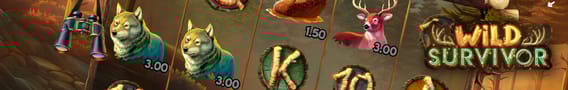 Wild Survivor